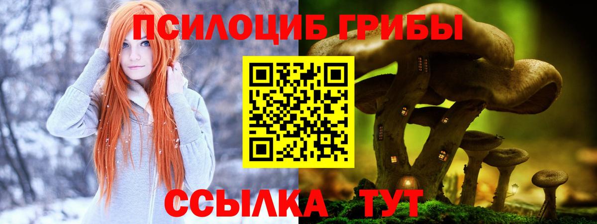 Мурино  Галлюциногенные грибы GOLDEN TEACHER  Вход с VPN 
